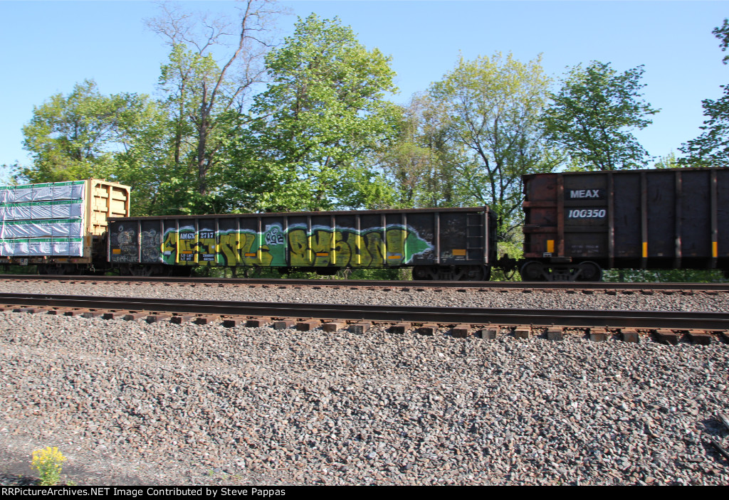 AMGX 2717